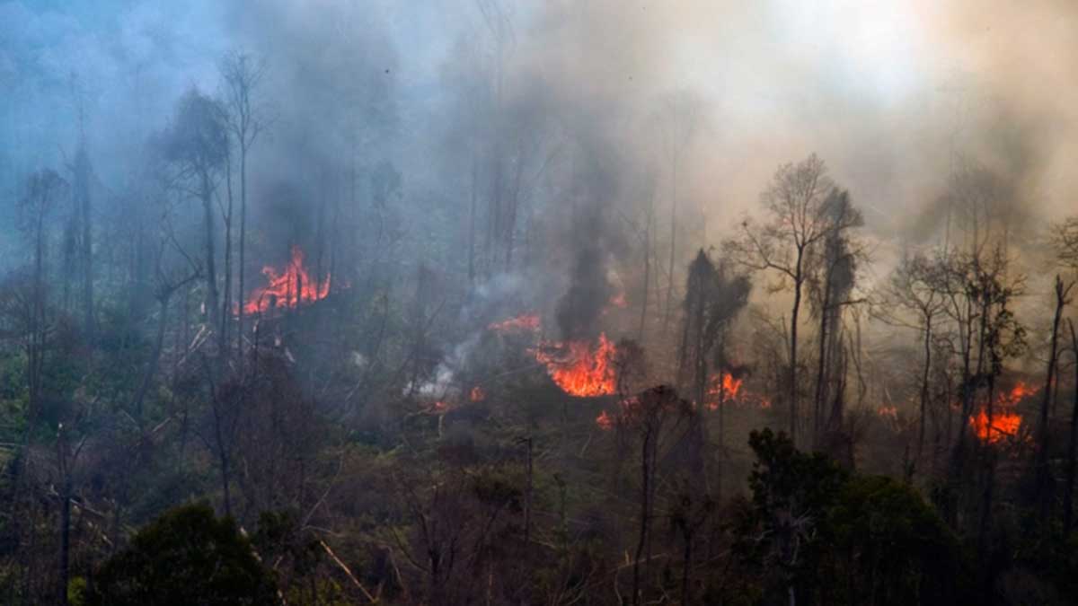 Pencegahan Karhutla Harus Didukung Semua Pihak