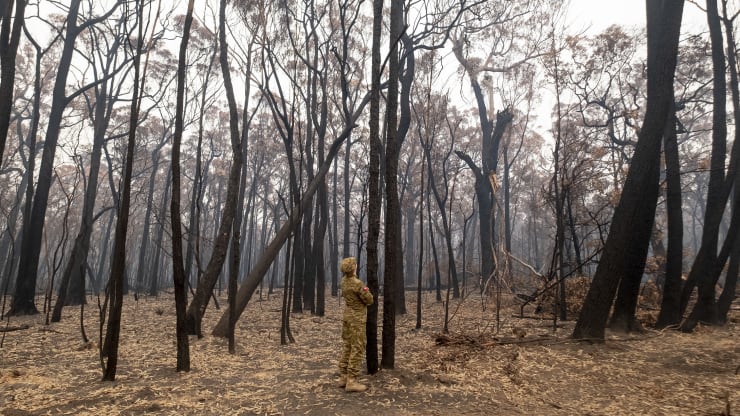 Krisis Iklim Ancam Setengah Lebih PDB Dunia