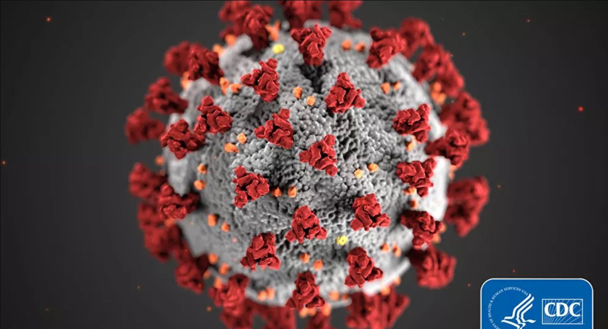 Virus Korona Menular