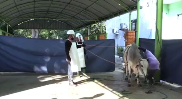 Pelaksanaan Kurban Sesuai Protokol Kesehatan