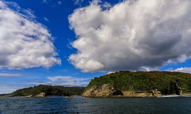 Tempat Hidup Ragam Hayati dan Kawasan Sakral Masyarakat Adat, Pulau Guafo Dijual Seharga $ 20 Juta