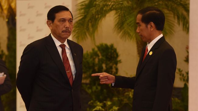 Luhut Ditunjuk Tekan Kasus Covid-19, Istana: Itu Prerogatif Presiden