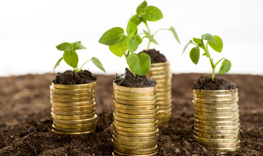 Koalisi Masyarakat Sipil Desak Penerapan Transfer Fiskal Berbasis Ekologi