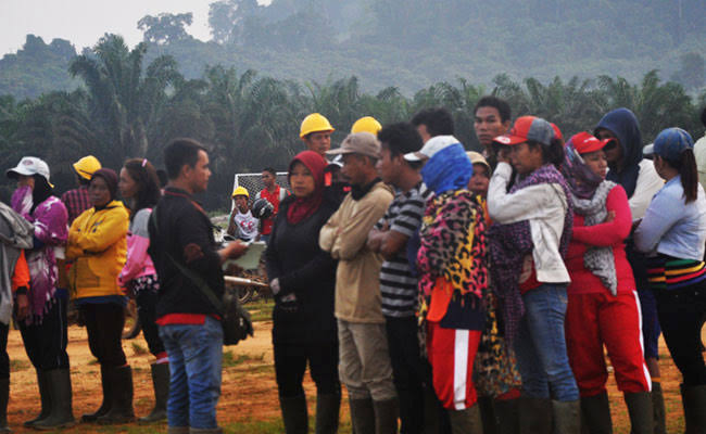 Koalisi Buruh Sawit Desak Pembatalan UU Cipta Kerja