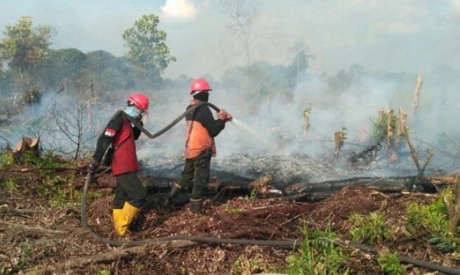 BNPB: Karhutla Tahun 2020 Berkurang 81 Persen