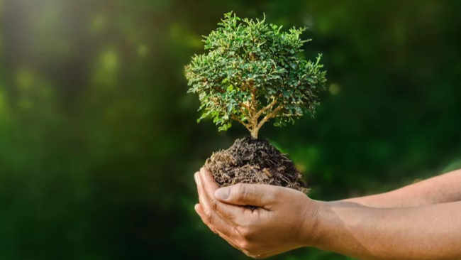 Mendorong Kebijakan Berwawasan Lingkungan Pasca Pilkada