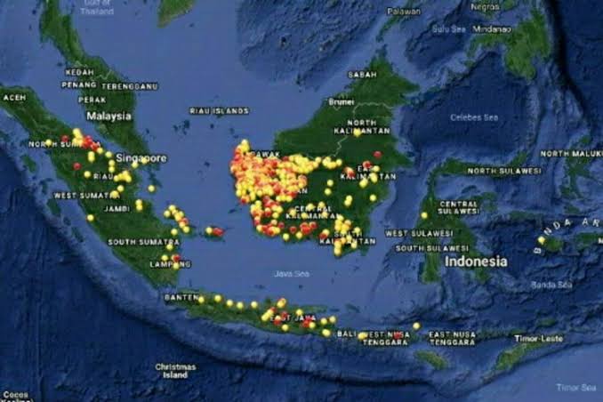 Potensi Karhutla: 598 Titik Panas Terdeteksi dalam 24 Jam Terakhir