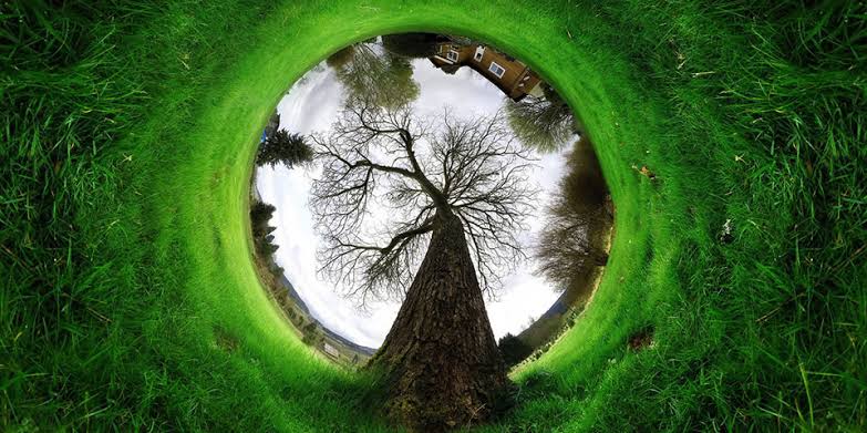 Teologi Ekologi | Catatan Ramadan: Ahmad Erani Yustika Teologi Ekologi | Catatan Ramadan: Ahmad Erani Yustika