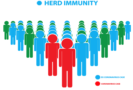 Jokowi Harap Akhir 2021 Indonesia Capai Herd Immunity