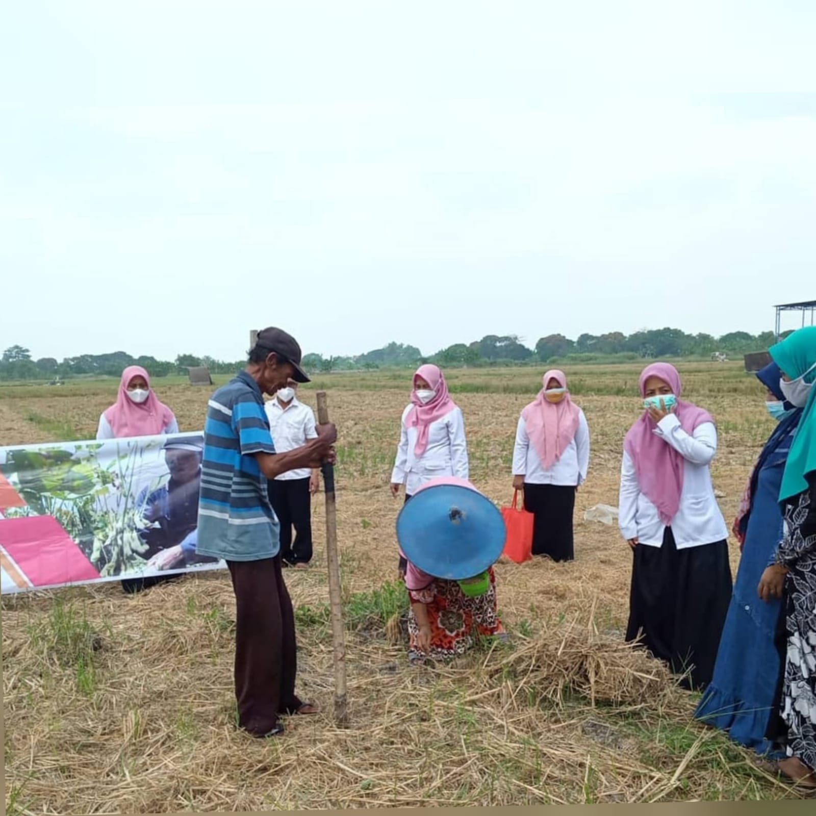 Dorong Minat Tanam, Belasan Hektar Lahan Petani di Gresik Digelontor Benih Kedelai