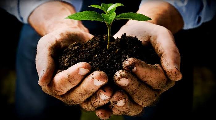 Menata Ulang Kebijakan Dana Reboisasi