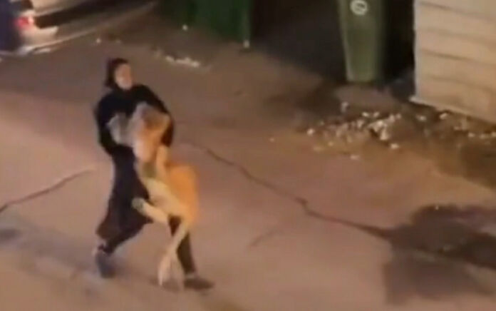 Wanita Peluk Singa Seperti Balita, Netizen Kaget