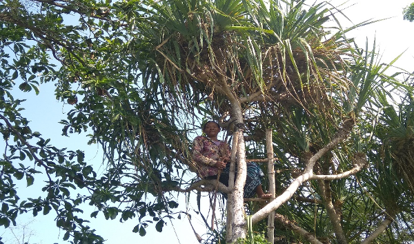 Tikar Pandan; Merawat Tradisi dan Berdayakan Ekonomi