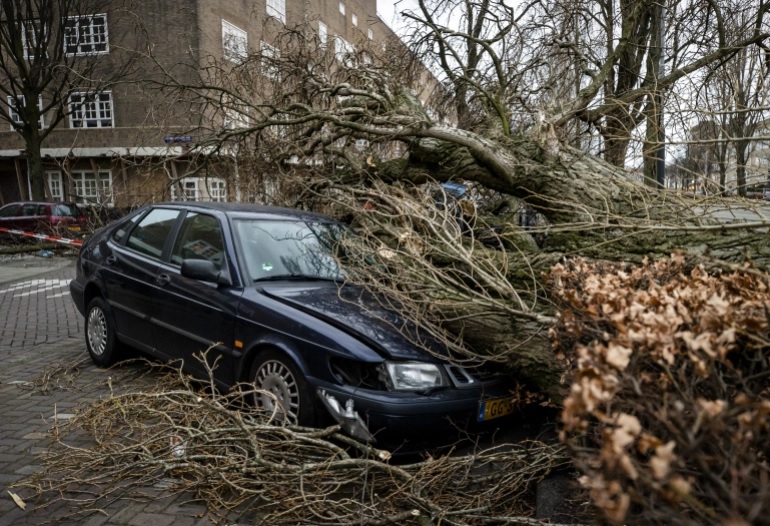 Sebuah mobil tergeletak di bawah pohon tumbang di Amsterdam setelah badai dahsyat menghantam Belanda. Foto: AFP.