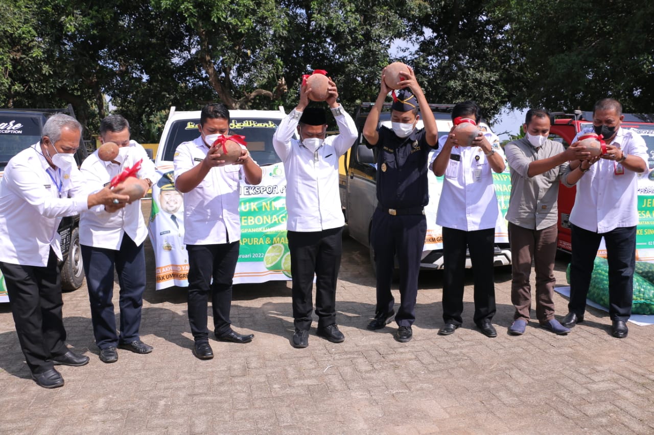 Ekspor Perdana, Jeruk Nipis Kebonagung Gresik Tembus Pasar Malaysia dan Singapura