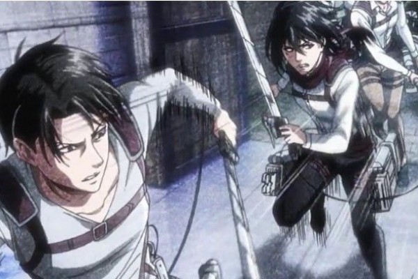 Levi dan Mikasa Ackerman (sumber: cdn.idntimes)
