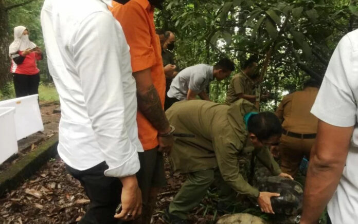 Proses pelepasan satwa dilindungi hasil barang bukti tindak kejahatan perdagangan satwa ilegal oleh BKSDA dan Polda Sumatera Barat di Taman Hutan Raya Bung Hatta, Senin (14/3). (Foto: Istimewa)