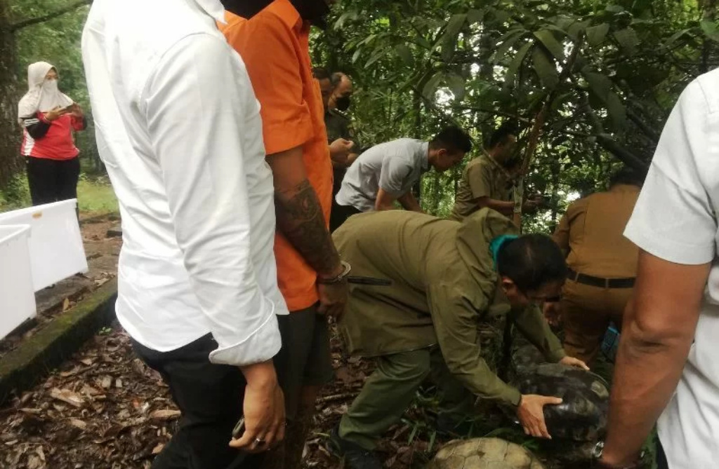 Proses pelepasan satwa dilindungi hasil barang bukti tindak kejahatan perdagangan satwa ilegal oleh BKSDA dan Polda Sumatera Barat di Taman Hutan Raya Bung Hatta, Senin (14/3). (Foto: Istimewa)
