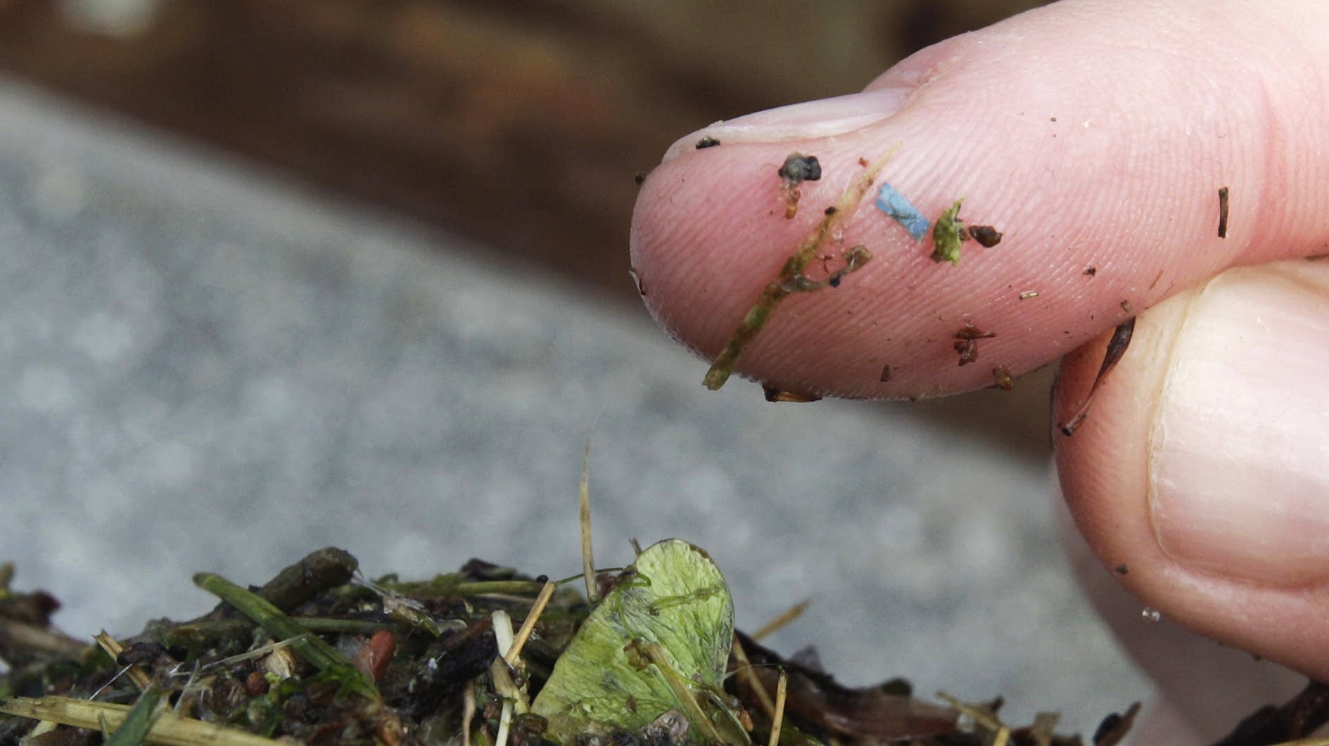 Penelitian: Polutan Mikroplastik Ditemukan Bersarang di Paru-paru Manusia