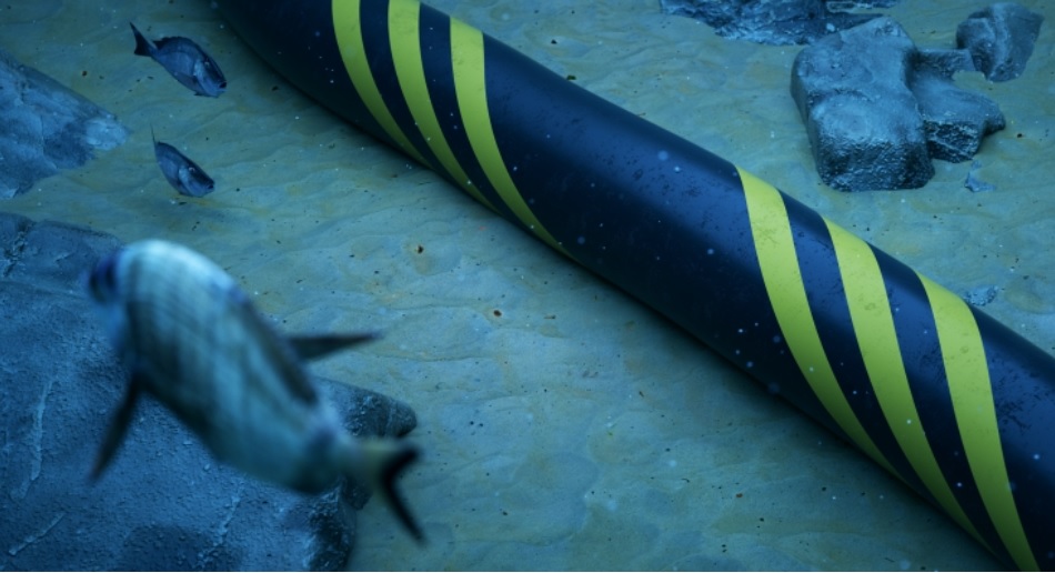 CSIS Dorong AS Agar Meningkatkan Pengamanan Jaringan Kabel Bawah Laut Asia Foto: Negro Elkha/Adobe Stock via CSIS.