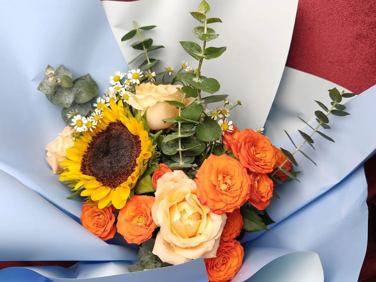 Motorola Edge Hadir dengan Kamera 200MP Begini Contoh Foto Pertamanya