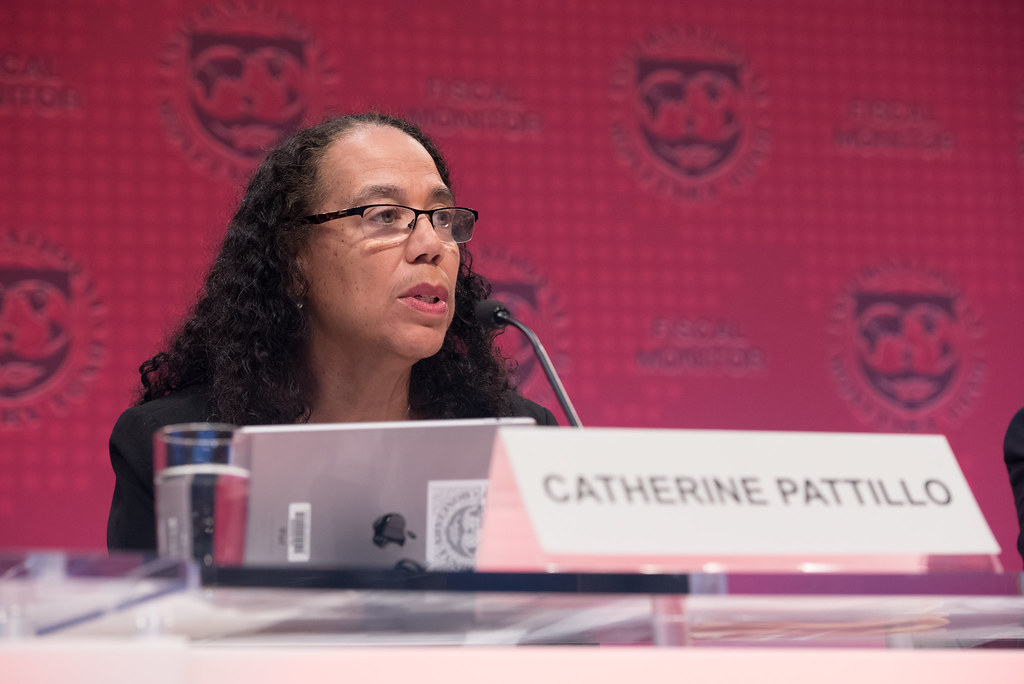 Para Ahli Serukan Langkah-langkah untuk Mencegah Krisis Ekonomi Afrika