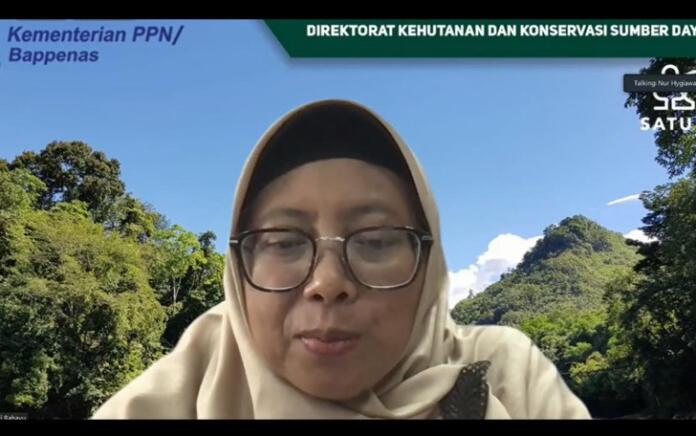 Pembangunan Rendah Karbon dan Ekonomi Hijau Jadi Fokus RKP 2023 Bappenas