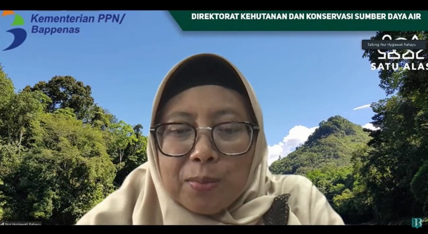 Pembangunan Rendah Karbon dan Ekonomi Hijau Jadi Fokus RKP 2023 Bappenas