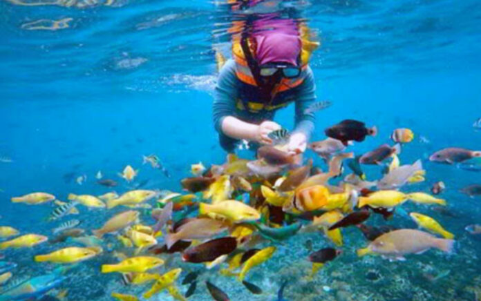 Ingin Berlibur ke NTB? Berikut 5 Wisata yang Patut Dikunjungi