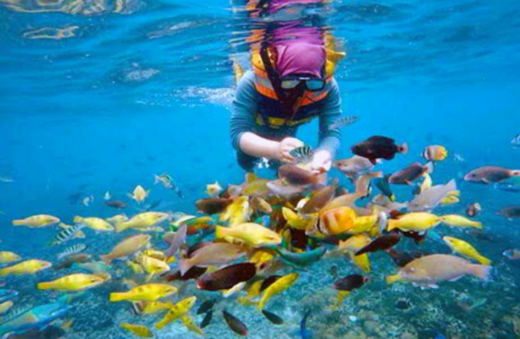 Ingin Berlibur ke NTB? Berikut 5 Wisata yang Patut Dikunjungi Ingin Berlibur ke NTB? Berikut 5 Wisata yang Patut Dikunjungi