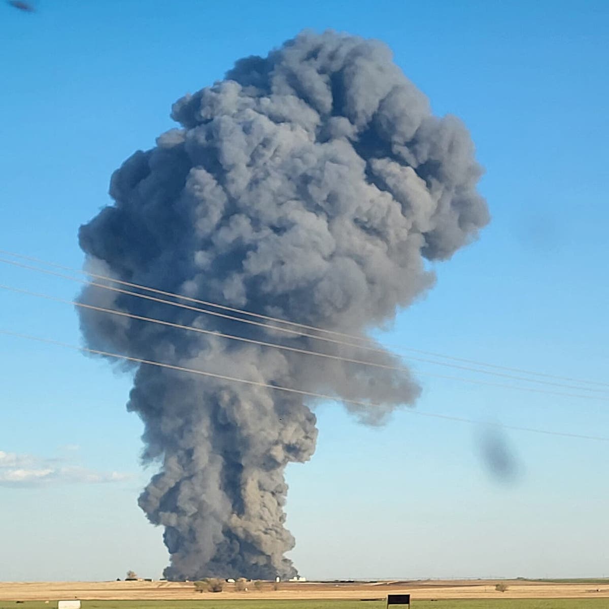 Lebih dari 18.000 Sapi Terpanggang dalam Kebakaran Peternakan Sapi Perah di Texas