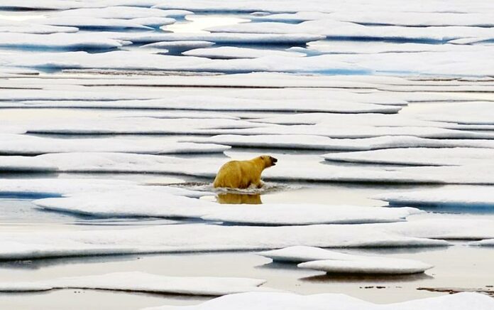 Studi Baru Kaitkan Hilangnya ES Laut Arktika dengan Cuaca Dingin Ekstrem