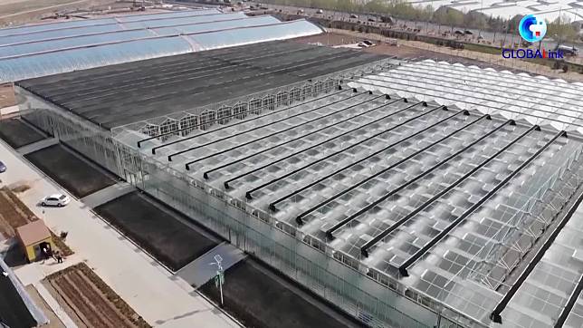 Pameran Sayuran di China Hadirkan Teknologi Pemuliaan Benih Luar Angkasa