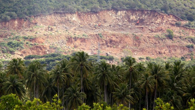PPATK Ungkap Ada 53 Kejahatan Lingkungan dengan Transaksi Capai Rp20 Triliun