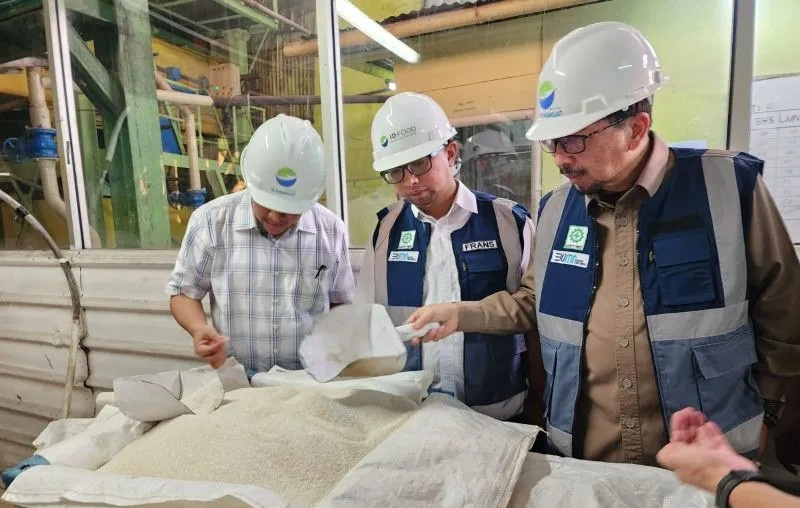 Jaga Stabilitas Gula, Bapanas Sambut Masa Giling Tebu di Jawa Barat Jaga Stabilitas Gula, Bapanas Sambut Masa Giling Tebu di Jawa Barat