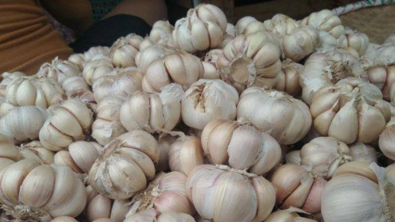 Terungkap Penyebab RI Tak Bisa Lepas Impor Bawang Putih