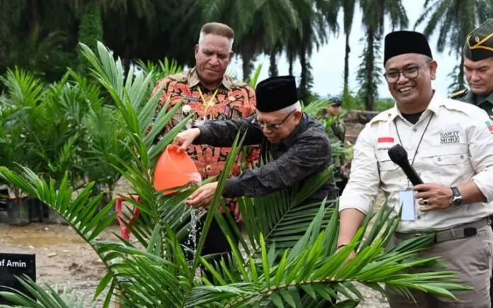 Wapres Tinjau Program Peremajaan Kelapa Sawit Rakyat di Papua Barat