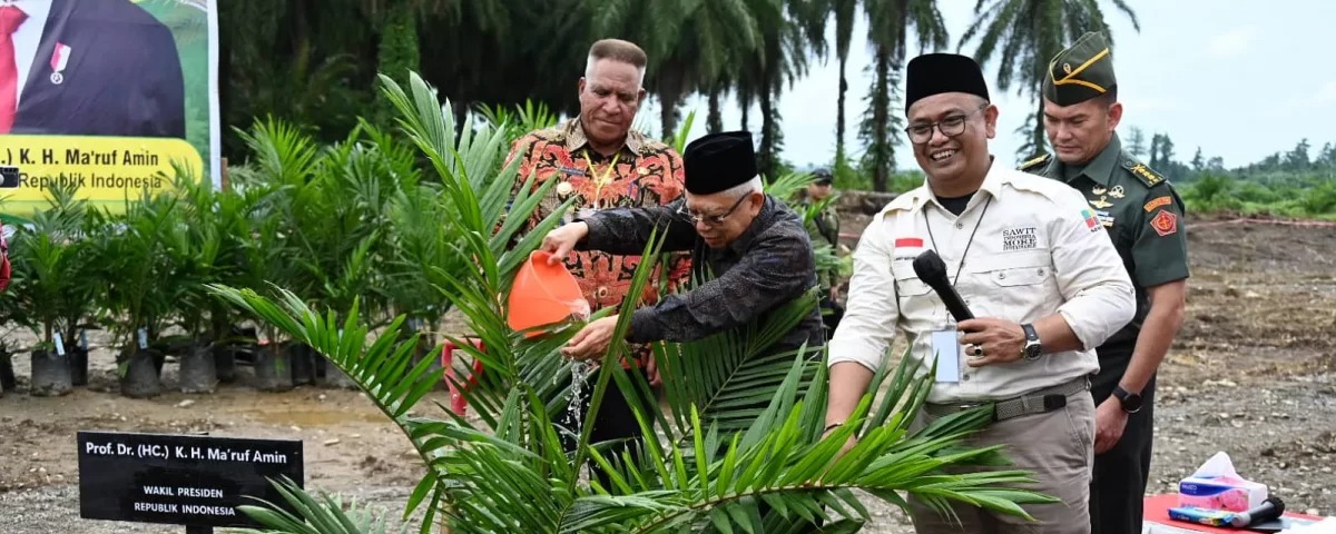 Wapres Tinjau Program Peremajaan Kelapa Sawit Rakyat di Papua Barat