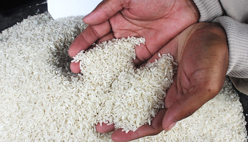 pangan harga beras