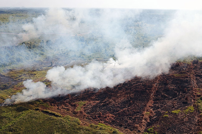 Seruan Koalisi Sipil Dorong Komnas HAM Usut Dampak Kabut Asap Akibat Karhutla Seruan Koalisi Sipil Dorong Komnas HAM Usut Dampak Kabut Asap Akibat Karhutla