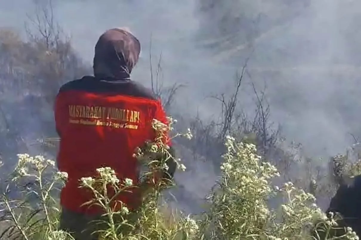 Kebakaran Hebat Melanda Savana Gunung Bromo, 8 Hektare Lahan Terbakar Kebakaran Bromo
