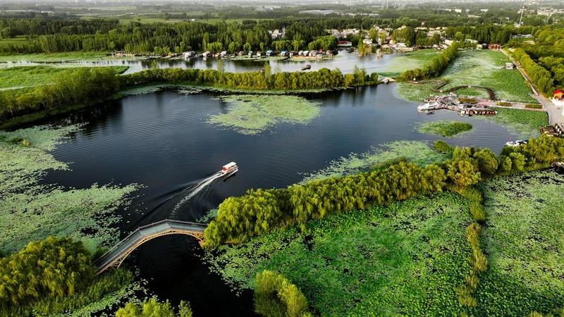 WWF Puji Peran Penting China dalam Upaya Global Atasi Krisis Iklim dan Alam WWF