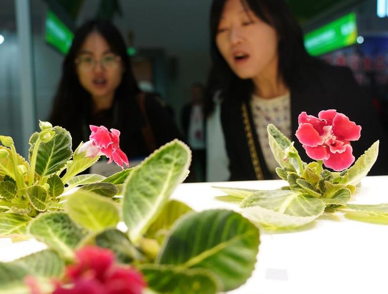 WAFI 2024 Beijing Dorong Konferensi Ramah Lingkungan dan Transisi Rendah Karbon WAFI 2024