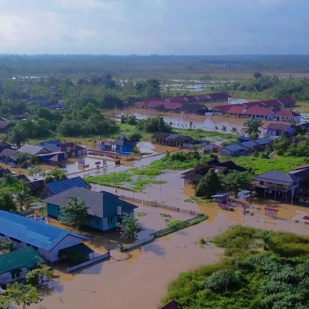 Banjir Parah di Kalimantan Tengah, WALHI Desak Evaluasi Deforestasi Banjir Parah di Kalimantan Tengah, WALHI Desak Evaluasi Deforestasi