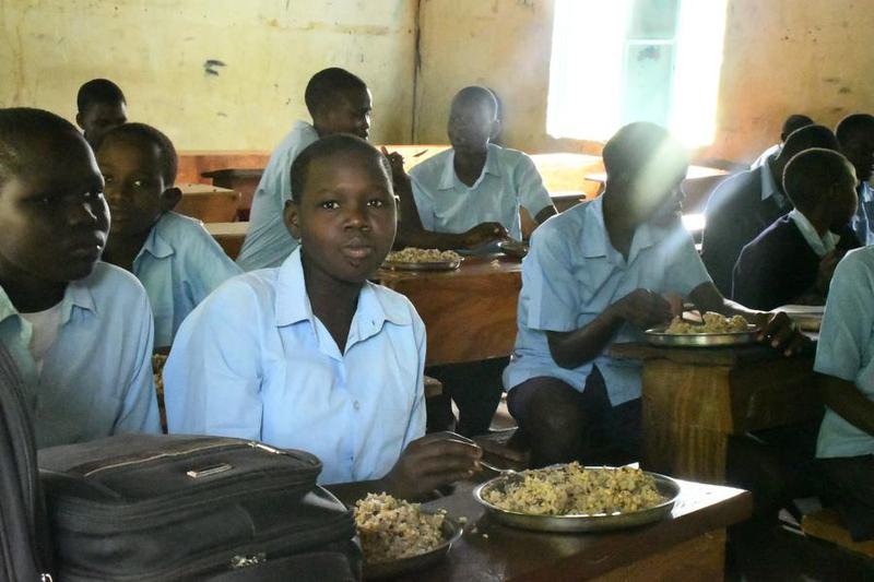 Harga Pangan Global Naik Moderat pada November di Tengah Penurunan Biji-Bijian Pangan Global