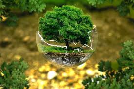 Luka Ekologis Indonesia dan Kegagapan Pendidikan Kita | Opini: Musyarrafah S.