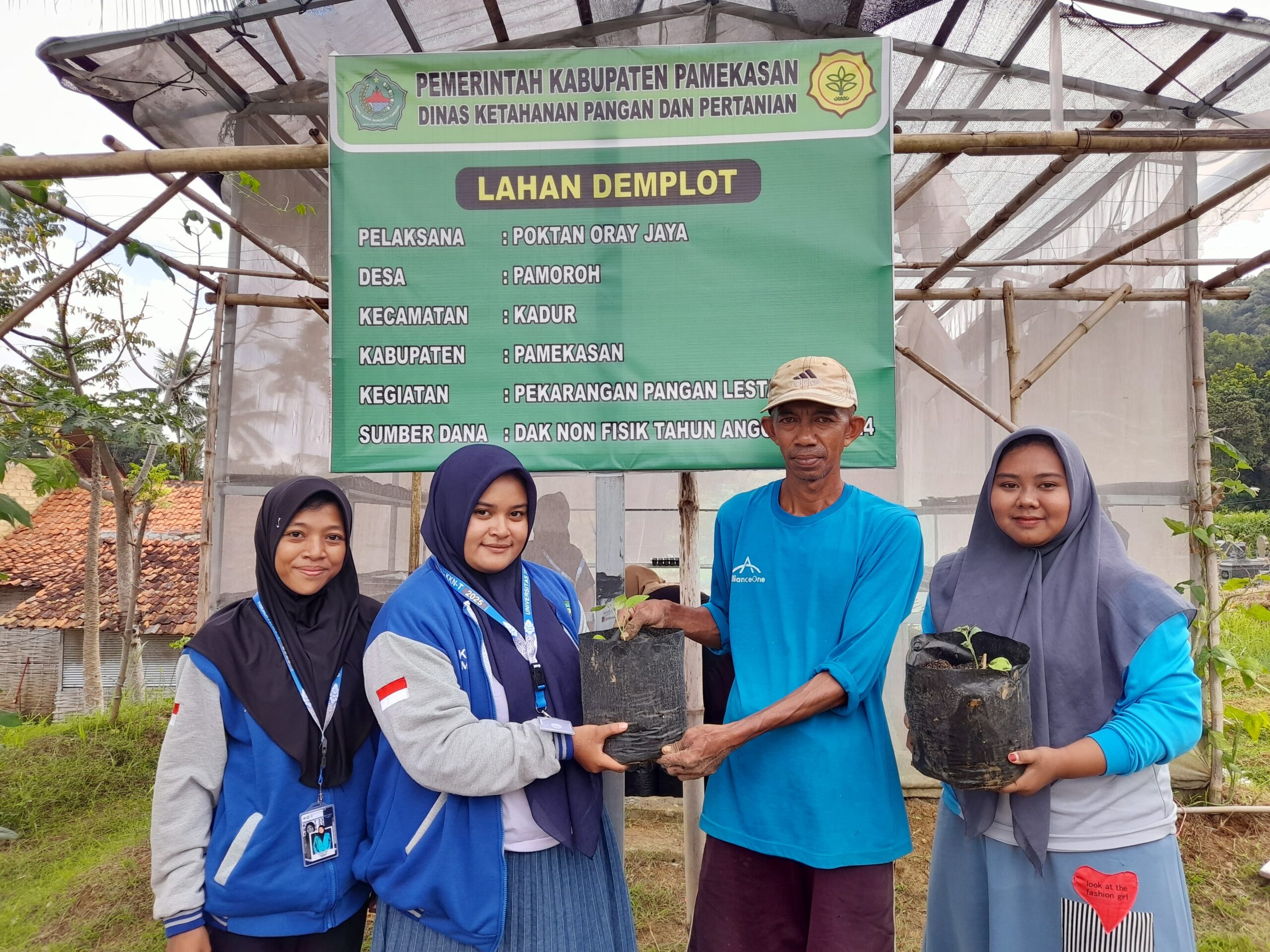 Dukung Swasembada Pangan, Mahasiswa UIM Pamekasan Perbarui Green House Dukung Swasembada Pangan, Mahasiswa UIM Pamekasan Perbarui Green House
