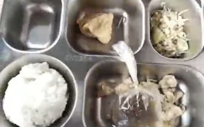 Menu MBG Dari SPPG Barokah Tamberu Diduga Tidak Layak, Wali Murid di Sampang Angkat Bicara