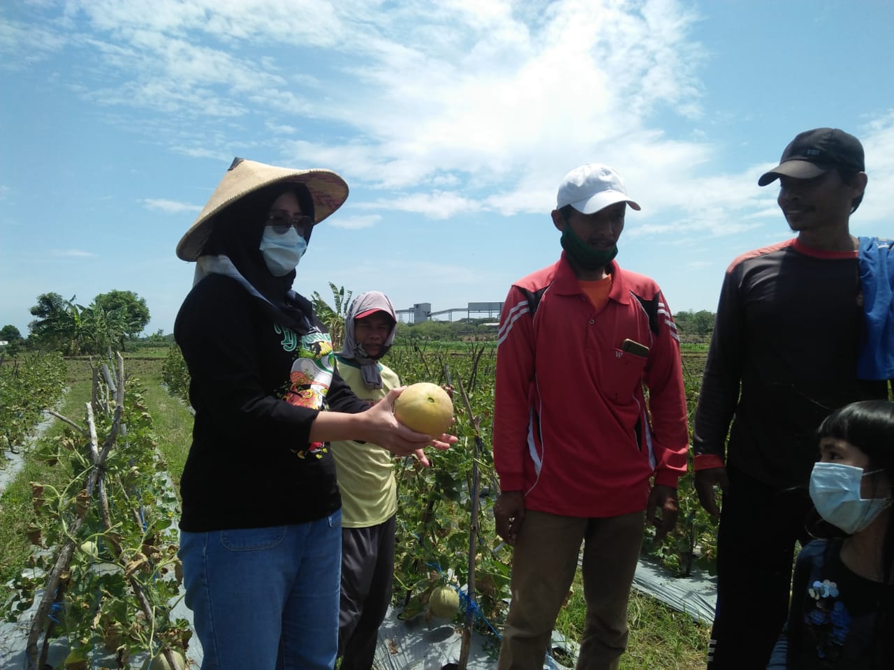 Anggota DPR RI Komisi IV Farida Hidayati Kunjungi Petani Melon Desa Karang Asem
