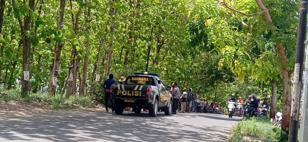 Polemik Pupuk Tak Temukan Kejelasan, Petani Bisa Apa?